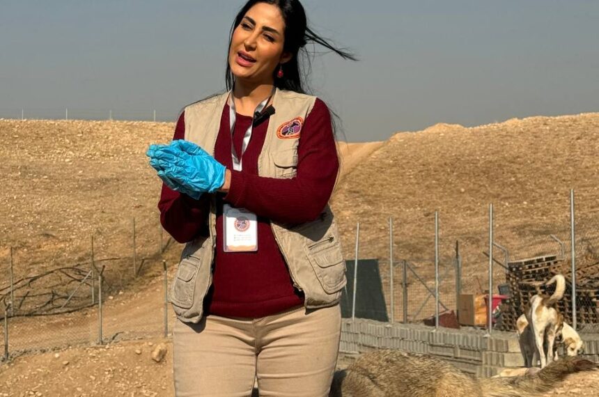 KAPO’s Shelter in Erbil