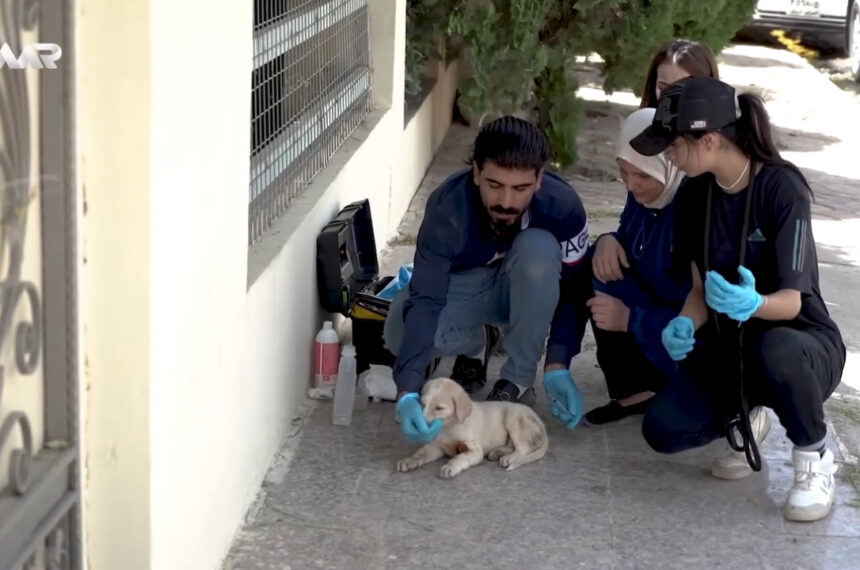 An Inspiring Interview with Farman Fadil Hasan on WAR TV: A Passionate Advocate for Animal Welfare