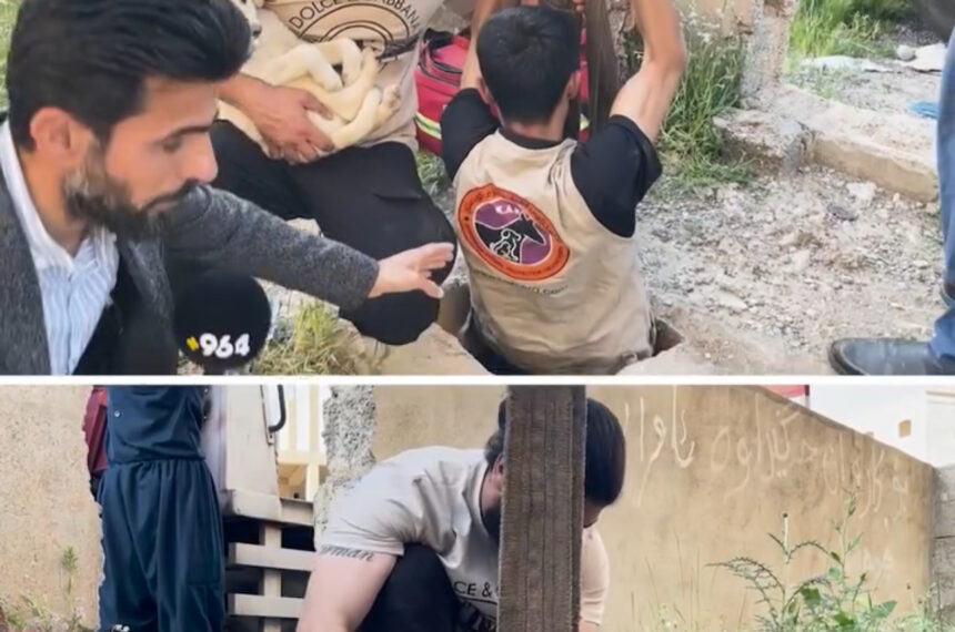 Rescue Operation by Kurdistan Animal Protection Organization: Saving a Puppy Trapped in a Sewer