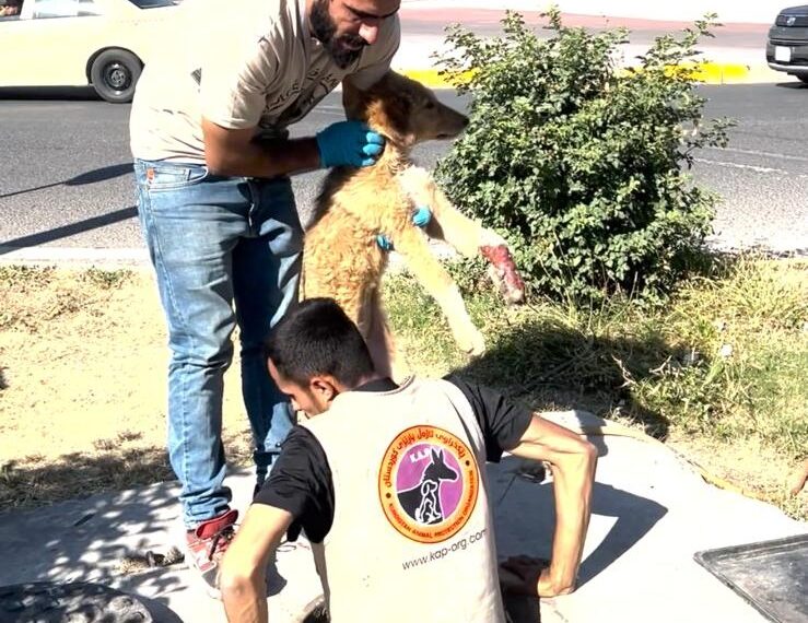Technical rescue Mission: Saving a Trapped Dog in sewer