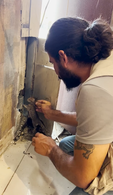 Rescue of Trapped Kitten from Bakery shop’s Barrier in Havalan, Erbil